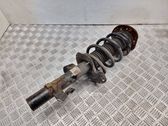 Front shock absorber with coil spring