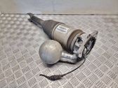 Stoßdämpfer hinten