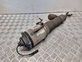 Front shock absorber/damper