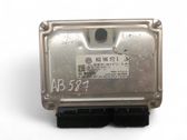 Engine control unit/module ECU