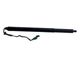 Tailgate/trunk strut/damper