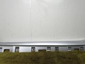 Verkleidung Schwellereinfassung