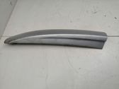 Roof trim bar molding cover