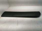 Rear door trim (molding)