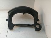 Dashboard trim