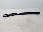 Rear door trim (molding)
