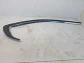 Rear side glass trim