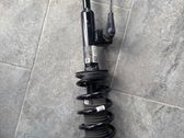 Front shock absorber with coil spring