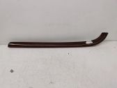 Front door trim (molding)