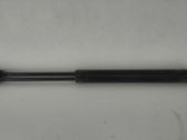 Tailgate/trunk strut/damper