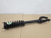 Front shock absorber/damper