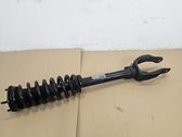 Front shock absorber/damper