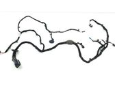 Front door wiring loom