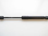 Tailgate/trunk strut/damper