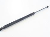 Tailgate/trunk strut/damper