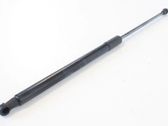 Tailgate/trunk strut/damper