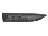 Fender trim (molding)