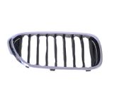 Kühlergrill
