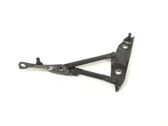 Tailgate/trunk/boot hinge