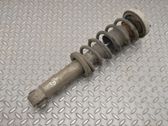 Rear shock absorber/damper