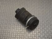 Rear air suspension bag/shock absorber