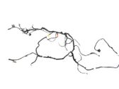 Other wiring loom