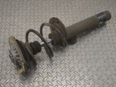 Front shock absorber/damper