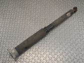 Stoßdämpfer hinten