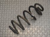 Muelle espiral trasero