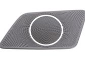 Cache enceinte centrale