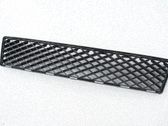 Atrapa chłodnicy / Grill