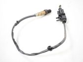 Sonde lambda
