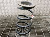 Rear coil spring