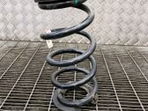 Rear coil spring