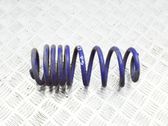 Rear coil spring