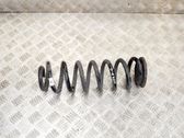 Rear coil spring