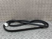 Trunk rubber seal (body)
