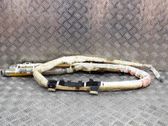 Airbag del techo