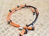 Other wiring loom