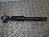 Stoßdämpfer hinten
