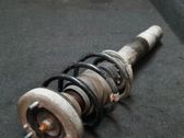 Front shock absorber/damper