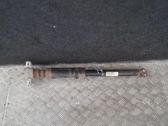 Rear shock absorber/damper