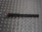 Stoßdämpfer hinten