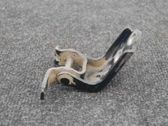 Rear door lower hinge