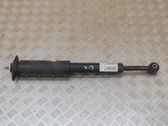 Rear shock absorber/damper