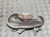Rear wheel hub