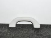 Front interior roof grab handle