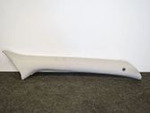 (A) pillar trim