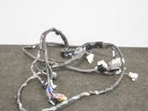 Cableado de puerta trasera