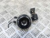 Horn signal
